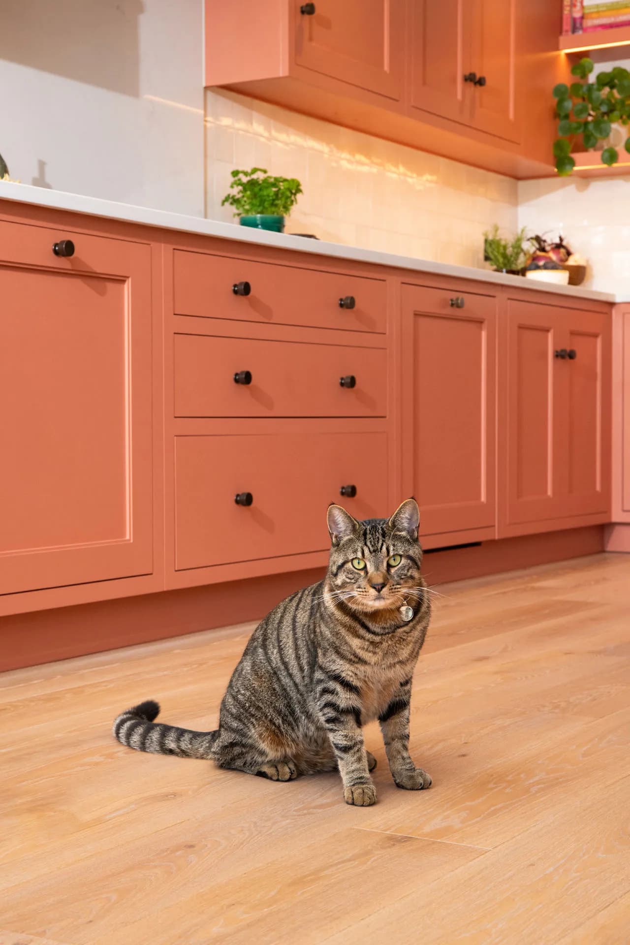 classic-in-frame-square-bead-shaker-kitchen-clapham-handmade-kitchen-co (1 (40)
