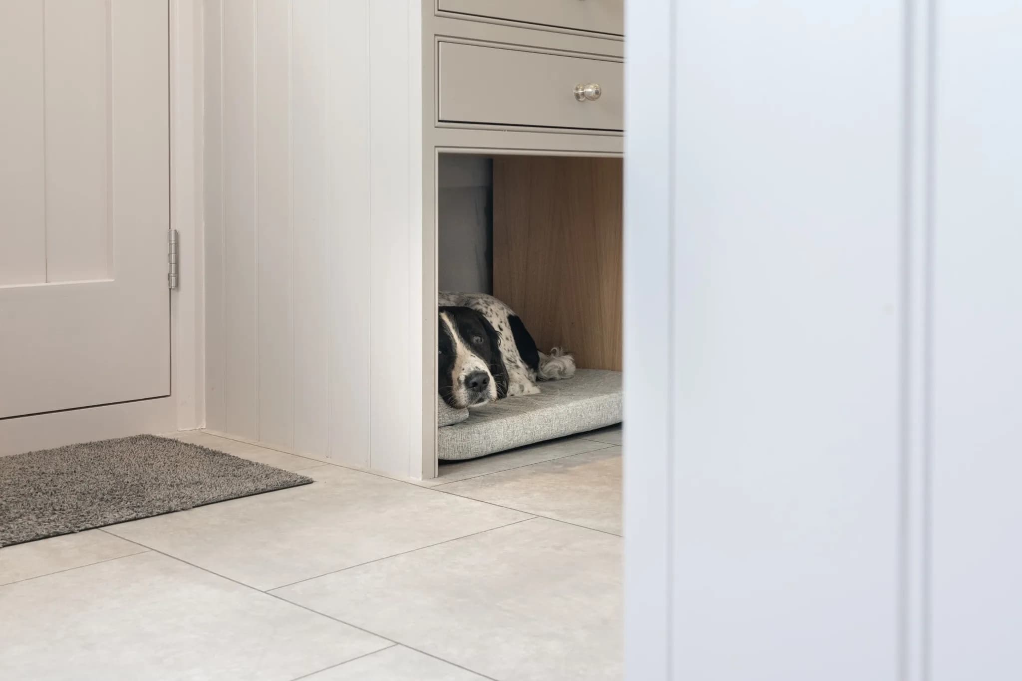 Design a Pet-Friendly Kitchen