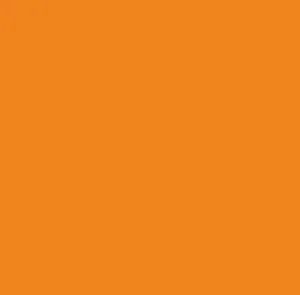 Marigold 209 300x295