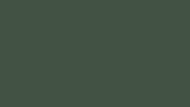 duck-green-farrow-and-ball-handmade-kitchen-company