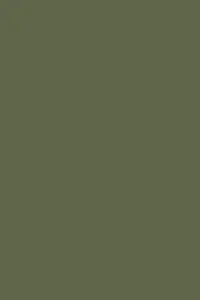 farrow and ball bancha 200x300