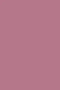 farrow and ball rangwali 200x300