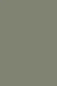 farrow and ball treron 200x300