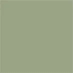 lichen farrow ball 150x150