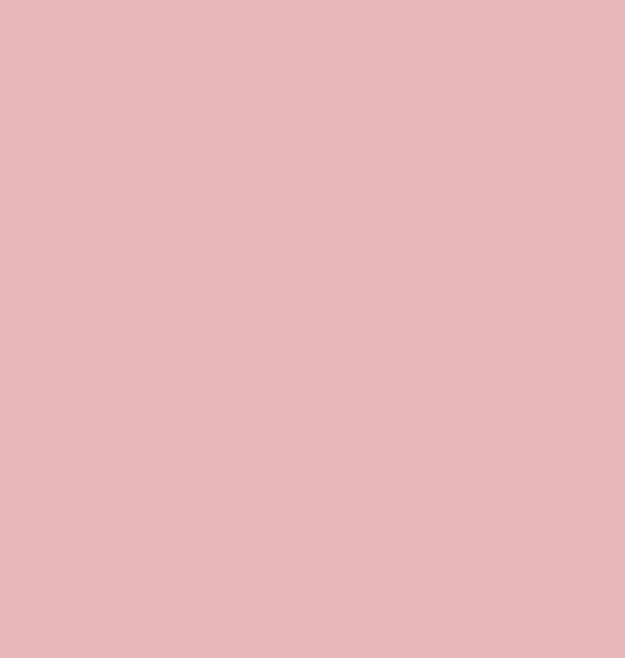nancys-blushes-farrow-ball-handmade-kitchen-company