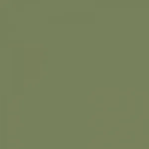 sage green 300x300