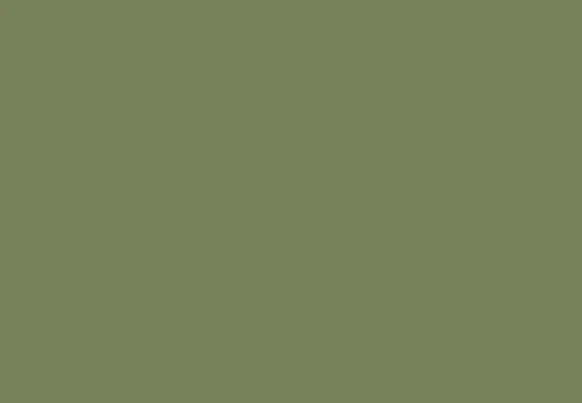 sage-green-little-greene-handmade-kitchen-company