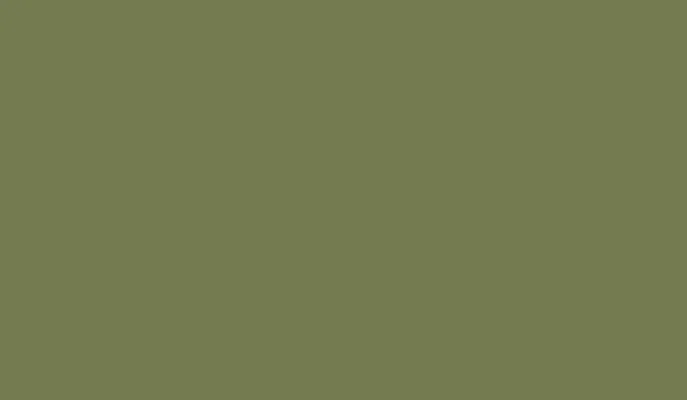 sap-green-farrow-ball-handmade-kitchen-company